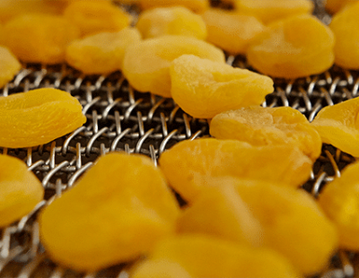 Abricots séchés après le processus de séchage