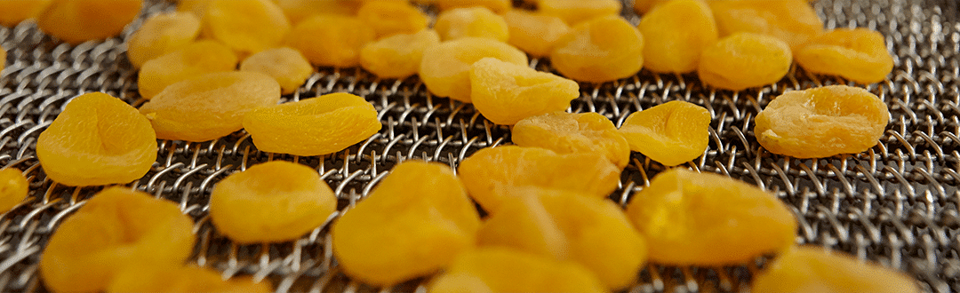 Abricots séchés après le processus de séchage
